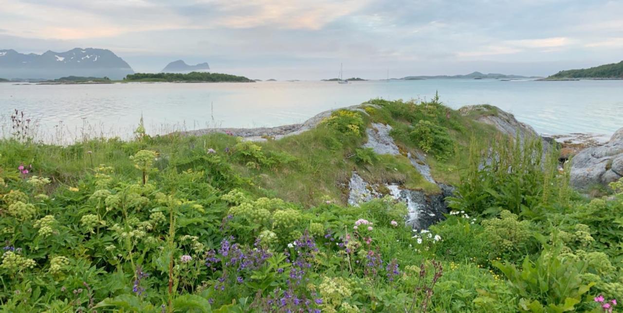 Отель Bedehuset Basecamp Senja Skaland Экстерьер фото